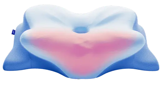 Derila Ergo Pillow official