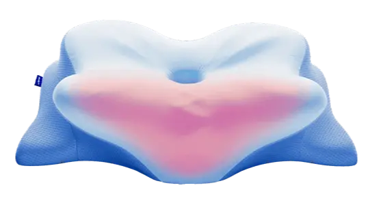 Derila Ergo Pillow special discount